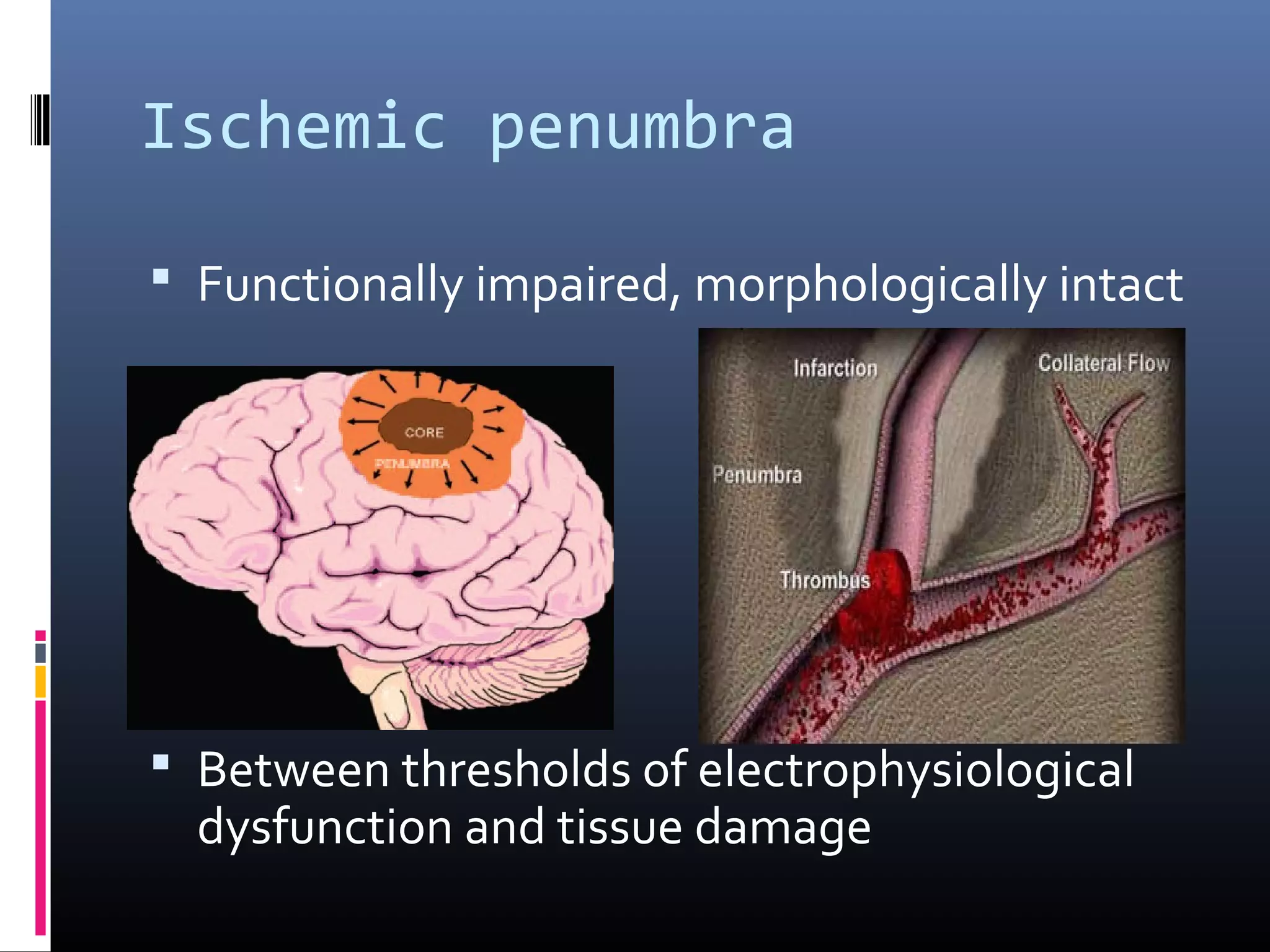 Ischemic penumbra
 Functionally impaired, morphologically intact
 Between thresholds of electrophysiological
dysfunction and tissue damage
 