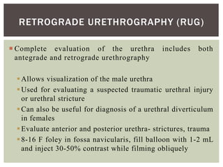 Imaging in urology for MBBS 4th year .pdf