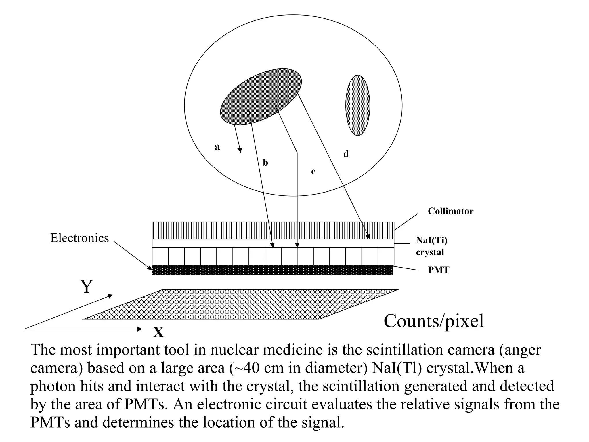 The most important tool in nuclear medicine is the scintillation camera (anger camera) based on a large area (~40 cm in diameter) NaI(Tl) crystal.When a photon hits and interact with the crystal, the scintillation generated and detected by the area of PMTs. An electronic circuit evaluates the relative signals from the PMTs and determines the location of the signal. Collimator X Y Counts/pixel NaI(Ti) crystal PMT a b c d Electronics 