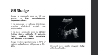 Imaging of the Biliary System and its Disorders | PPTX