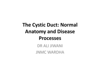 The Cystic Duct: Normal
Anatomy and Disease
Processes
DR ALI JIWANI
JNMC WARDHA
 