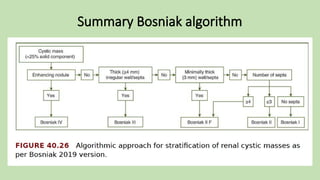 Summary Bosniak algorithm
 