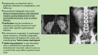 Imaging plays an important role in
diagnosis, detection of complications, and
follow-up.
Conventional radiograph may reveal
bilateral enlarged kidneys with lobulated
margins causing displacement of the
surrounding structures, such as colonic
flexures.
Calcification may be curvilinear or
amorphous and the presence of renal
calculi often signifies superimposed
infection.
On intravenous urography, in nephrogram
phase numerous, smoothly marginated
radiolucencies throughout the cortex and
medulla giving "Swiss cheese nephrogram
"Spider leg pyelogram" is also described,
since a stretched-out and attenuate,
stretched and crescentic calyces is seen as
a result of the mass effect caused by renal
cysts.
 