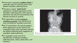 At excretory urography, papillary blush is
classically noted as contrast pools in the
dilated medullary collecting ducts.
This gives a classic “paint brush”
appearance. Striated appearance of the
medullary collecting ducts with calyceal
distortion may also be encountered as the
disease increases in severity.
US examination reveals echogenic
medullary pyramids. Tiny calculi can be
seen involving the medullary pyramids.
On CT examination, the typical papillary
blush appearance can be noted in the
urographic phase with associated calculi in
the dilated collecting ducts suggestive of
medullary nephrocalcinosis.
CT urography scores over EU in
identification of dilated medullary
collecting ducts, calculi, obstruction, and
infection.
 