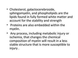 • Cholesterol, galactocerebroside,
sphingomyelin, and phospholipids are the
lipids found in fully formed white matter and
account for the stability and strength
• Proteins are also embedded within the
myelin.
• Any process, including metabolic injury or
ischemia, that changes the chemical
composition of myelin will result in a less
stable structure that is more susceptible to
injury .
 