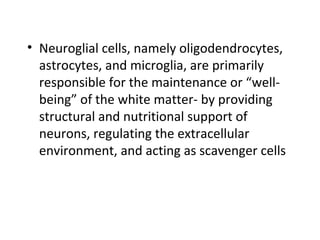 • Neuroglial cells, namely oligodendrocytes,
astrocytes, and microglia, are primarily
responsible for the maintenance or “well-
being” of the white matter- by providing
structural and nutritional support of
neurons, regulating the extracellular
environment, and acting as scavenger cells
 