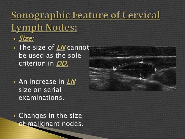 Imaging of enlarged lymph node diagram of the hilum 