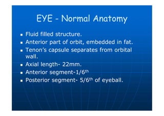 Imaging of eye and orbit | PDF