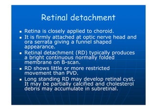 Closed Funner Rdb Scan Imaging of eye and orbit | PDF