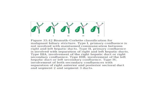 Comprehensive Imaging and Pathology of Gallbladder and Biliary Tree ...