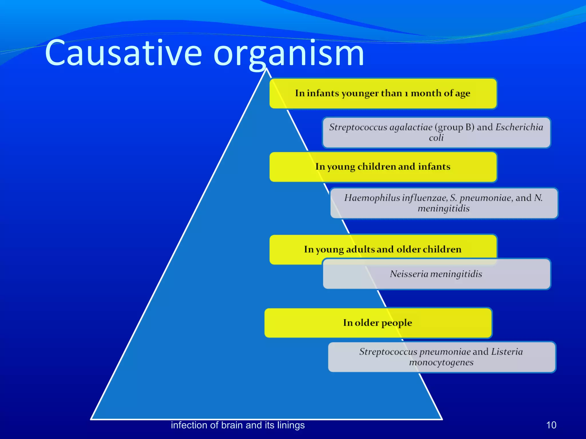 Causative organism
10infection of brain and its linings
 
