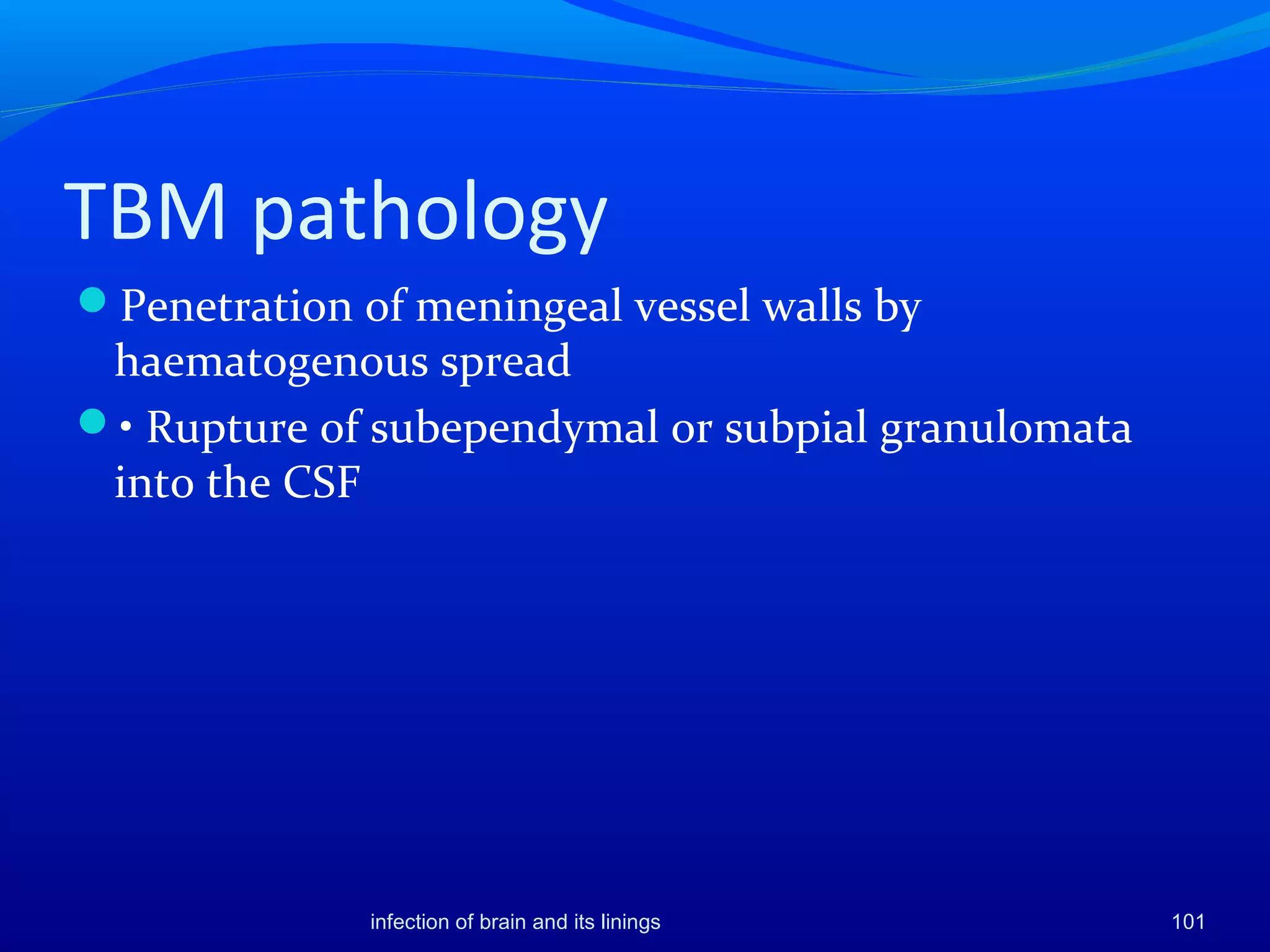 TBM pathology
Penetration of meningeal vessel walls by
haematogenous spread
• Rupture of subependymal or subpial granulomata
into the CSF
101infection of brain and its linings
 