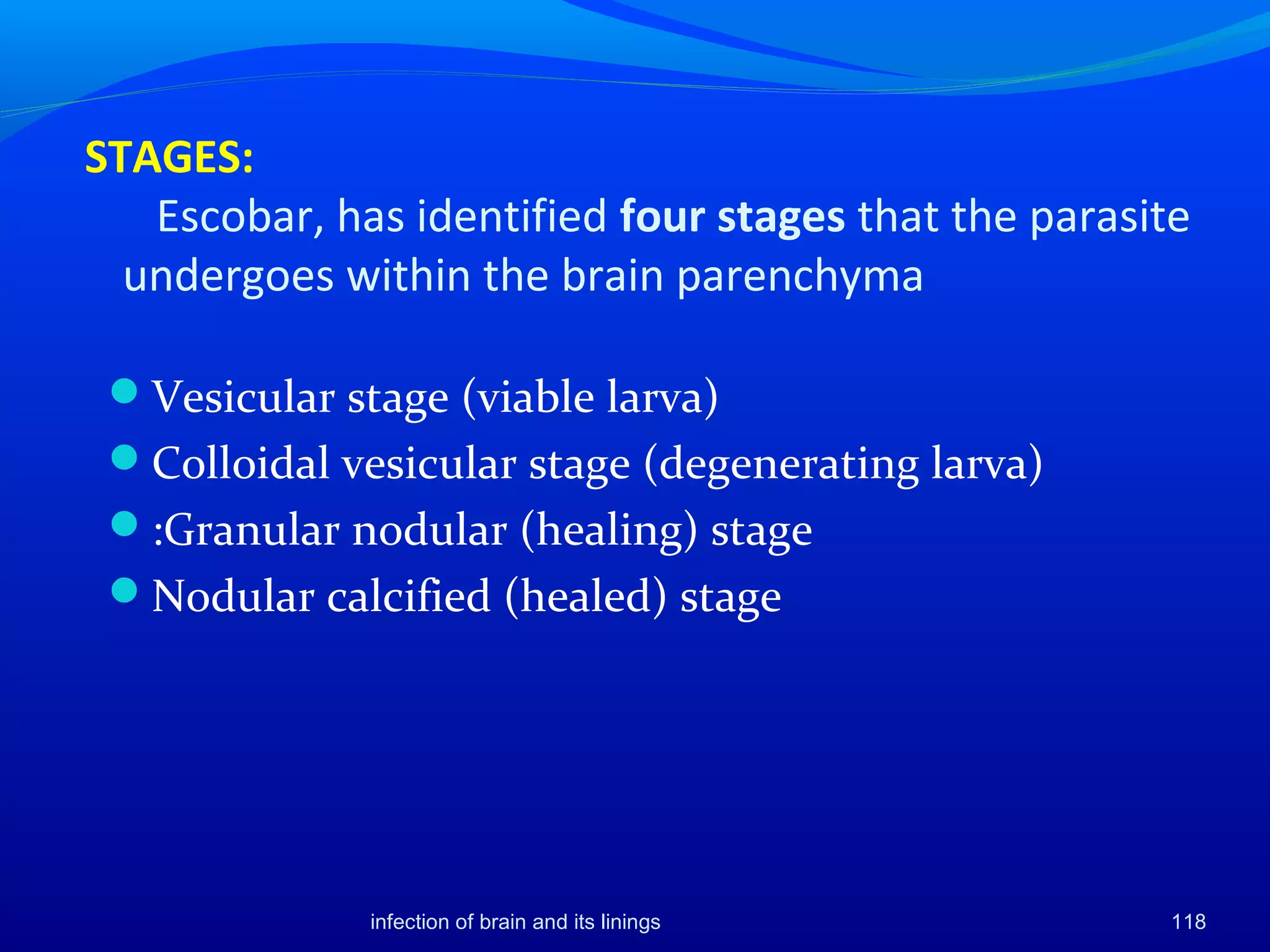STAGES:
Escobar, has identified four stages that the parasite
undergoes within the brain parenchyma
Vesicular stage (viable larva)
Colloidal vesicular stage (degenerating larva)
:Granular nodular (healing) stage
Nodular calcified (healed) stage
infection of brain and its linings 118
 