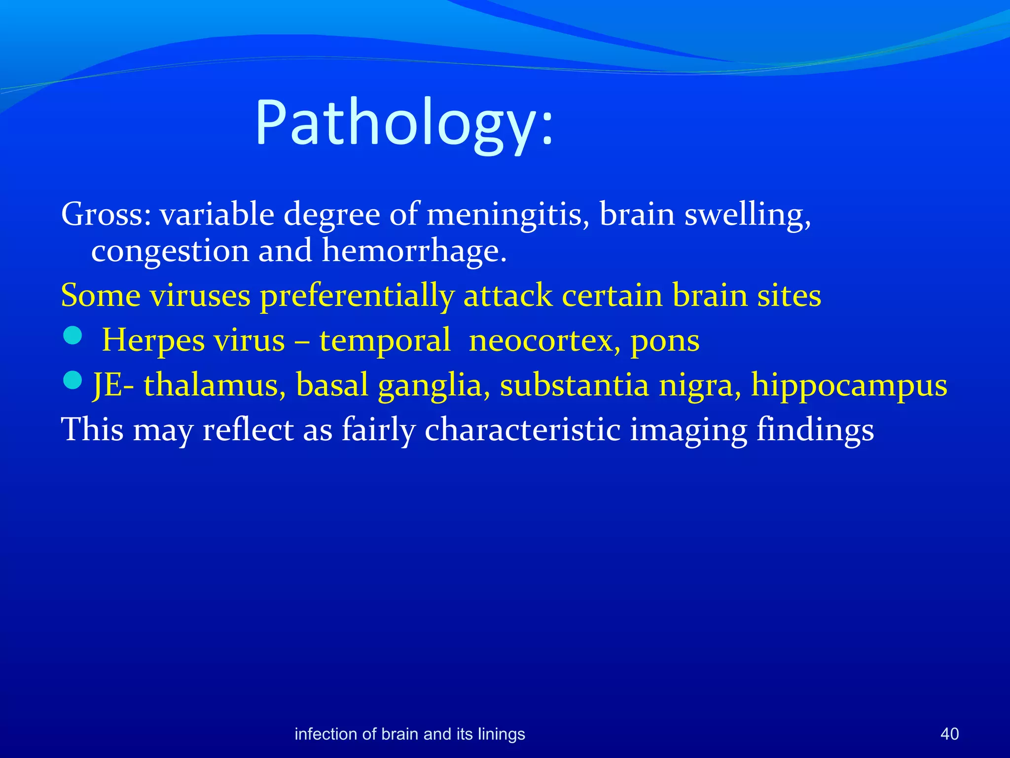 Pathology:
Gross: variable degree of meningitis, brain swelling,
congestion and hemorrhage.
Some viruses preferentially attack certain brain sites
 Herpes virus – temporal neocortex, pons
JE- thalamus, basal ganglia, substantia nigra, hippocampus
This may reflect as fairly characteristic imaging findings
40infection of brain and its linings
 