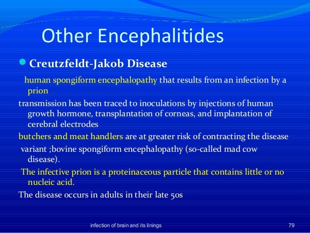 creutzfeldt jakob disease essay creutzfeldt jakob disease essay