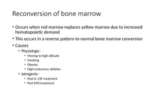 Marrow Conversion Pattern Comprehensive Imaging of Normal and Abnormal Skeletal Maturation in ...