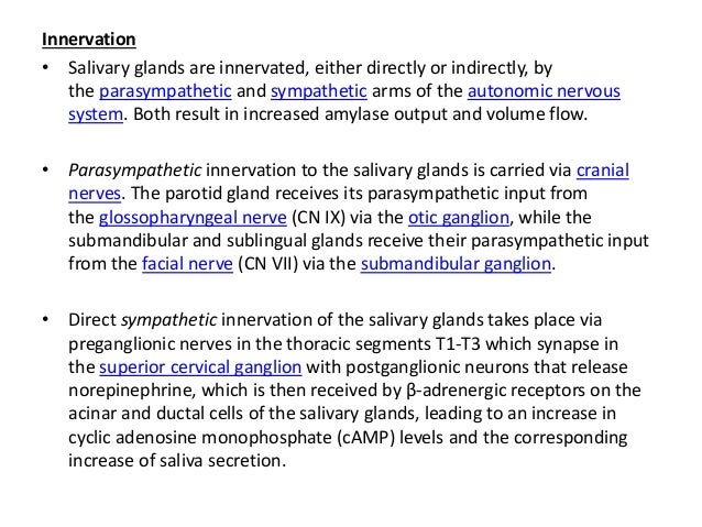 pictorial essay salivary gland imaging Pictorial essay ultrasound studies keywords: salivary glands, ultrasound, parotid glands, the protocol for imaging of salivary glands in western. pictorial essay salivary gland imaging Pictorial essay ultrasound studies keywords: salivary glands, ultrasound, parotid glands, the protocol for imaging of salivary glands in western.