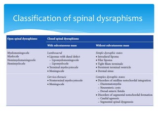 Classification of spinal dysraphisms
 