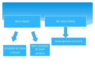 BACK MASS NO BACK MASS
COVERED BY SKIN
CYSTICA
NOT COVERED
BY SKIN
APERTA
SPINA BIFIDA OCCULTA
 