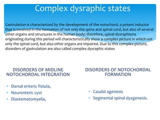 Complex dysraphic states
DISORDERS OF MIDLINE
NOTOCHORDAL INTEGRATION
 Dorsal enteric fistula,
 Neurenteric cyst
 Diastematomyelia,
DISORDERS OF NOTOCHORDAL
FORMATION
 Caudal agenesis
 Segmental spinal dysgenesis.
Gastrulation is characterized by the development of the notochord, a potent inductor
that is involved in the formation of not only the spine and spinal cord, but also of several
other organs and structures in the human body; therefore, spinal dysraphisms
originating during this period will characteristically show a complex picture in which not
only the spinal cord, but also other organs are impaired. Due to this complex picture,
disorders of gastrulation are also called complex dysraphic states
 
