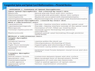 Congenital Spine and Spinal Cord Malformations—Pictorial Review
 