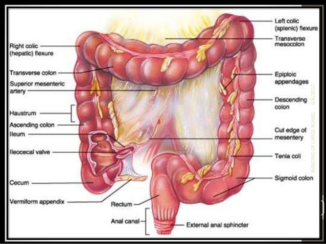 imaging of the large bowel