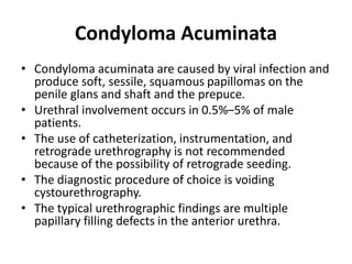 Condyloma Acuminata
• Condyloma acuminata are caused by viral infection and
produce soft, sessile, squamous papillomas on the
penile glans and shaft and the prepuce.
• Urethral involvement occurs in 0.5%–5% of male
patients.
• The use of catheterization, instrumentation, and
retrograde urethrography is not recommended
because of the possibility of retrograde seeding.
• The diagnostic procedure of choice is voiding
cystourethrography.
• The typical urethrographic findings are multiple
papillary filling defects in the anterior urethra.
 