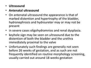 • Ultrasound
• Antenatal ultrasound
• On antenatal ultrasound the appearance is that of
marked distention and hypertrophy of the bladder,
hydronephrosis and hydroureter may or may not be
present
• in severe cases oligohydramnios and renal dysplasia.
• keyhole sign may be seen on ultrasound due to the
distention of both the bladder and the urethra
immediately proximal to the valve
• Unfortunately such findings are generally not seen
before 26 weeks of gestation, and as such are not
frequently identified on routine morphology screening,
usually carried out around 18 weeks gestation
 