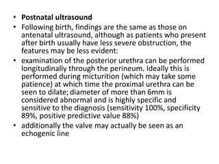 • Postnatal ultrasound
• Following birth, findings are the same as those on
antenatal ultrasound, although as patients who present
after birth usually have less severe obstruction, the
features may be less evident:
• examination of the posterior urethra can be performed
longitudinally through the perineum. Ideally this is
performed during micturition (which may take some
patience) at which time the proximal urethra can be
seen to dilate;diameter of more than 6mm is
considered abnormal and is highly specific and
sensitive to the diagnosis (sensitivity 100%, specificity
89%, positive predictive value 88%)
• additionally the valve may actually be seen as an
echogenic line
 