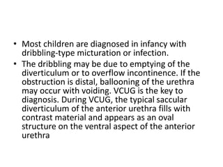 • Most children are diagnosed in infancy with
dribbling-type micturation or infection.
• The dribbling may be due to emptying of the
diverticulum or to overflow incontinence. If the
obstruction is distal, ballooning of the urethra
may occur with voiding. VCUG is the key to
diagnosis. During VCUG, the typical saccular
diverticulum of the anterior urethra fills with
contrast material and appears as an oval
structure on the ventral aspect of the anterior
urethra
 