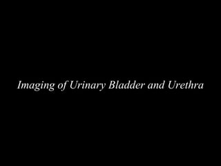 Imaging of Urinary Bladder and Urethra
 