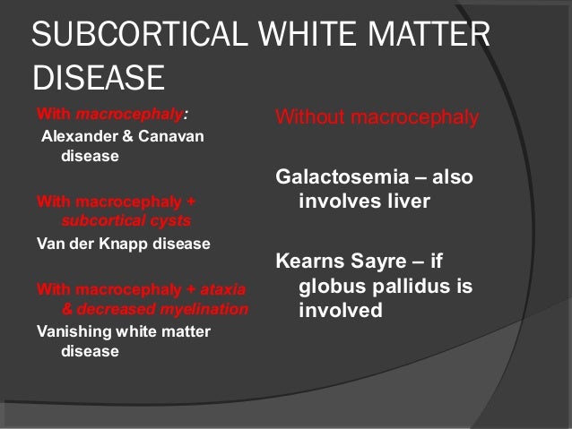 Imaging of white matter diseases