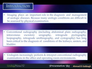 Imaging in urology: part 1 kub & ivp | PDF