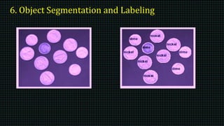 Introduction to Image Processing | PPTX