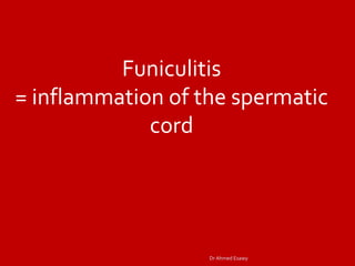 Imaging vastitis differentitis funiculitis seminal vesiculitis Dr Ahmed ...