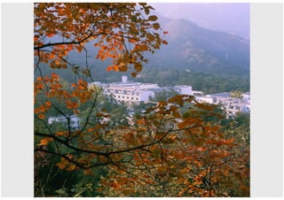 Imagini Cu Munti Din China