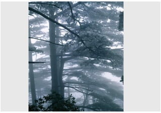 Imagini Cu Munti Din China