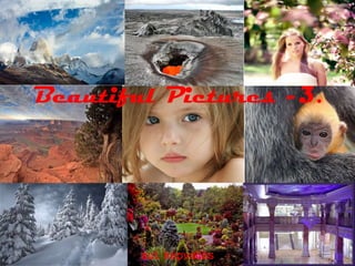 Beautiful Pictures -3. aut. képváltás 