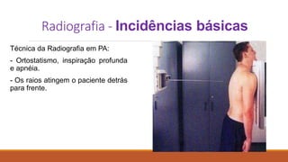 Radiografia - Incidências básicas
Técnica da Radiografia em PA:
- Ortostatismo, inspiração profunda
e apnéia.
- Os raios atingem o paciente detrás
para frente.
 