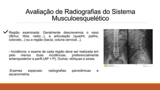 Avaliação de Radiografias do Sistema
Musculoesquelético
Região examinada: Geralmente descrevemos o osso
(fêmur, tíbia, radio...), a articulação (quadril, joelho,
cotovelo...) ou a região (bacia, coluna cervical...).
- Incidência: o exame de cada região deve ser realizada em
pelo menos duas incidências, preferencialmente
anteroposterior e perfil (AP + P). Outras: oblíquas e axiais.
-Exames especiais: radiografias panorâmicas e
escanometria.
 