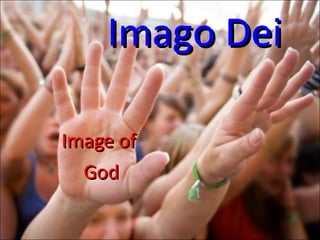 Imago Dei Image of God 