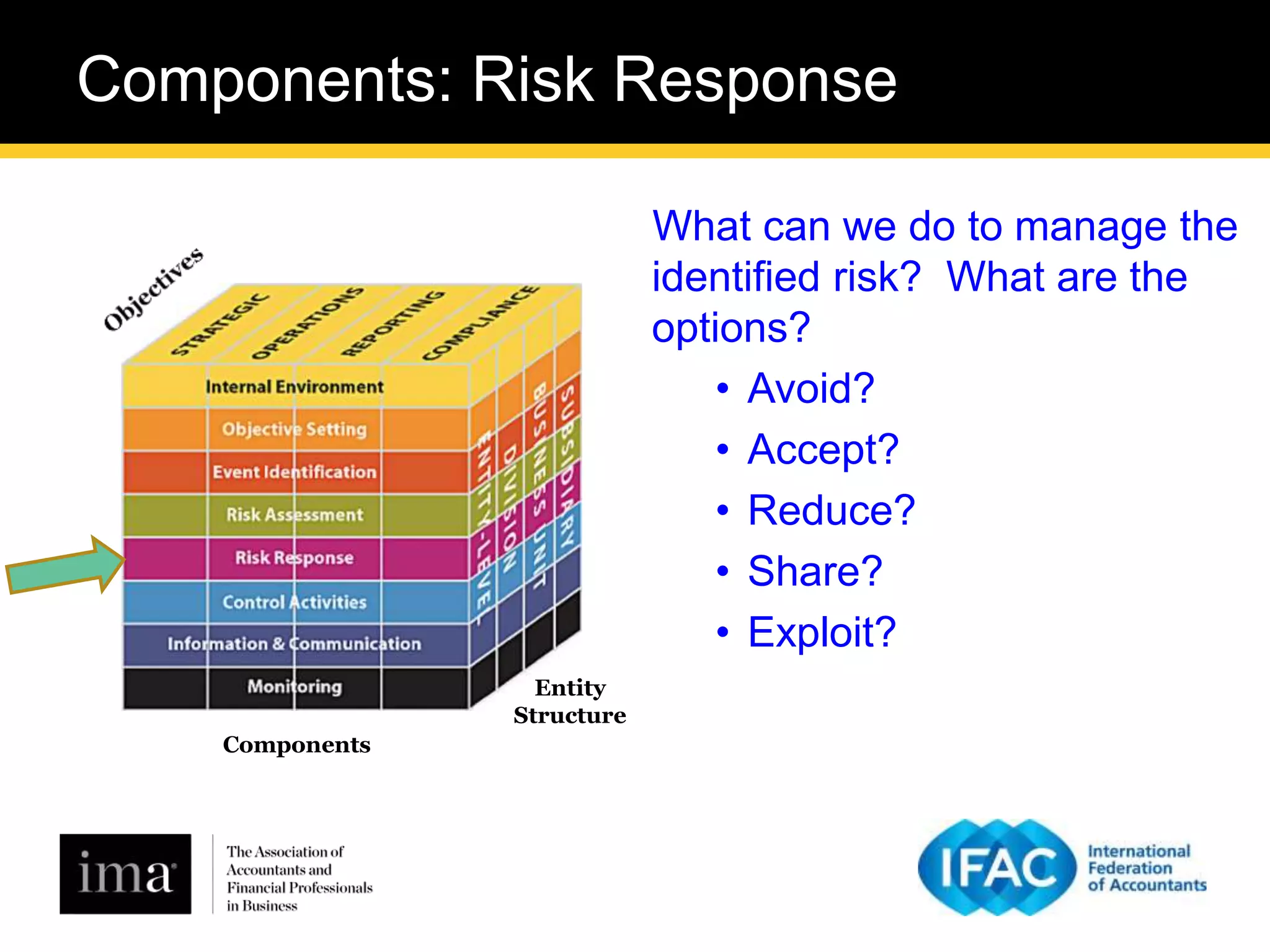 Upgrading Risk Management and Internal Control in Your Organization ...