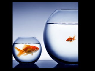 What doctors should know about angel investing