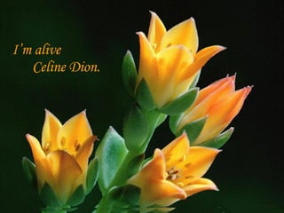 I’m alive  Celine   Dion. 