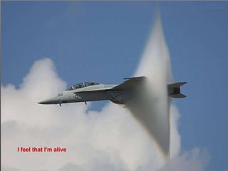 I feel that I'm alive 