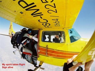 My spirit takes flight
Sign alive
 