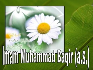 Imam Muhammad Baqir (a.s.) 