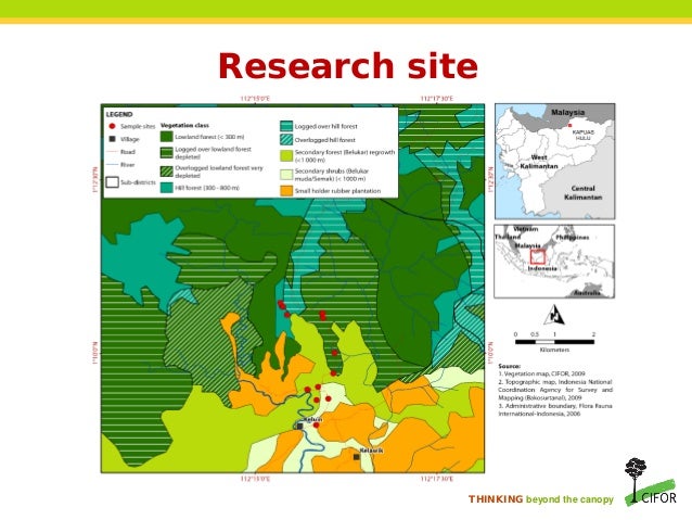 Is borneo a country picture