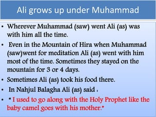 Ali grows up under Muhammad
• Wherever Muhammad (saw) went Ali (as) was
with him all the time.
• Even in the Mountain of Hira when Muhammad
(saw)went for meditation Ali (as) went with him
most of the time. Sometimes they stayed on the
mountain for 3 or 4 days.
• Sometimes Ali (as) took his food there.
• In Nahjul Balagha Ali (as) said :
• “ I used to go along with the Holy Prophet like the
baby camel goes with his mother.”
 