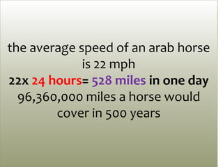 the average speed of an arab horse
is 22 mph
22x 24 hours= 528 miles in one day
96,360,000 miles a horse would
cover in 500 years
 
